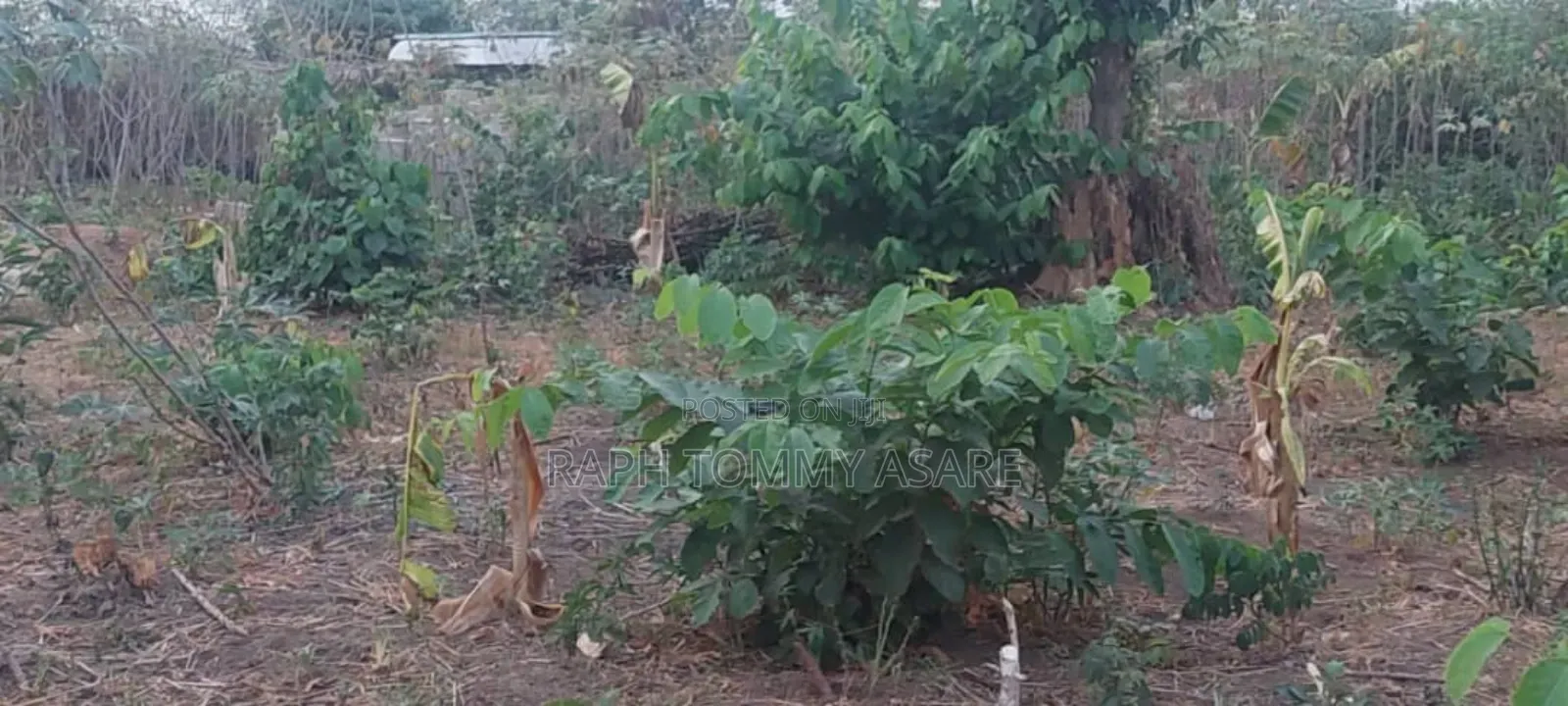 Legit Residential Half Plot of Land for Sale