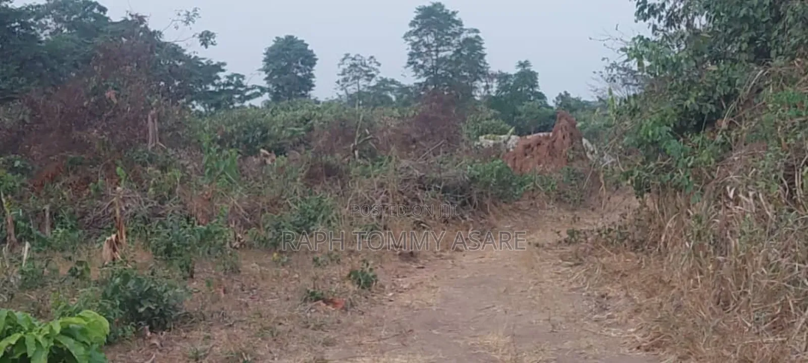 Legit Residential Half Plot of Land for Sale