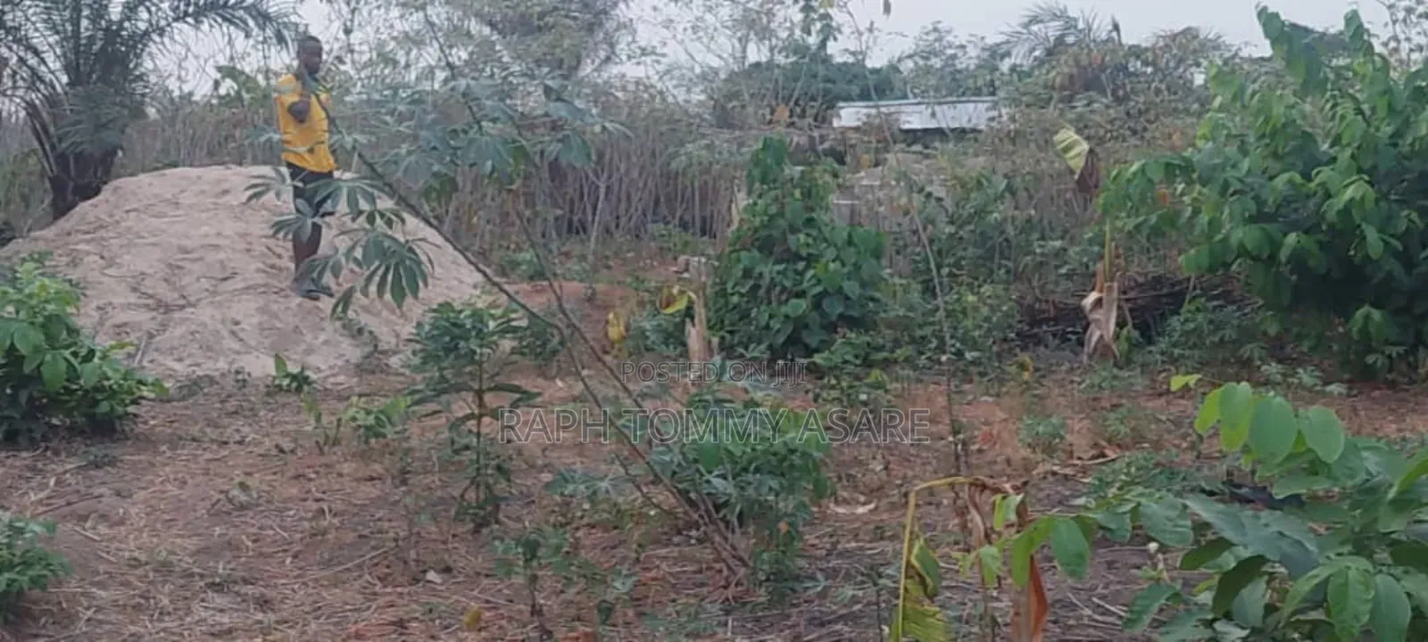 Legit Residential Half Plot of Land for Sale