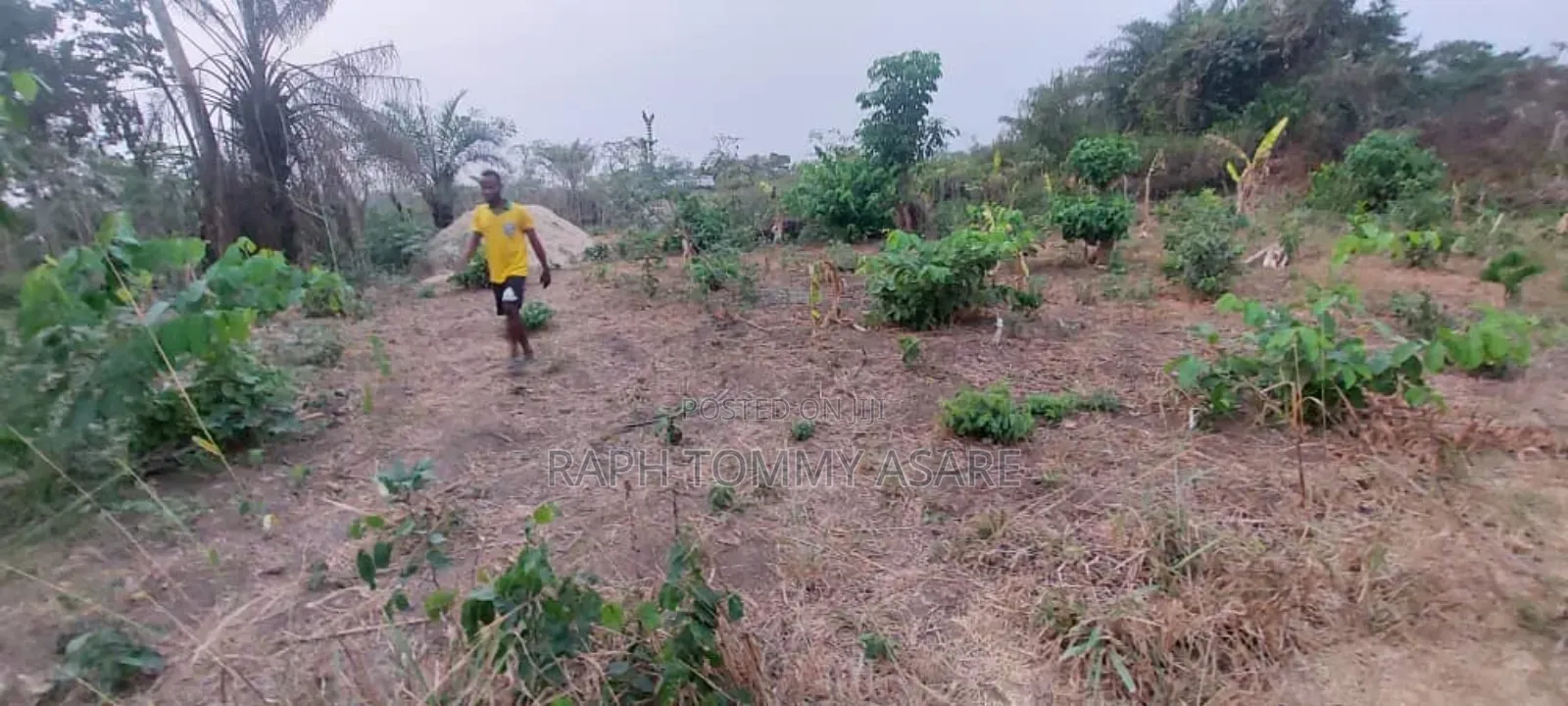 Legit Residential Half Plot of Land for Sale