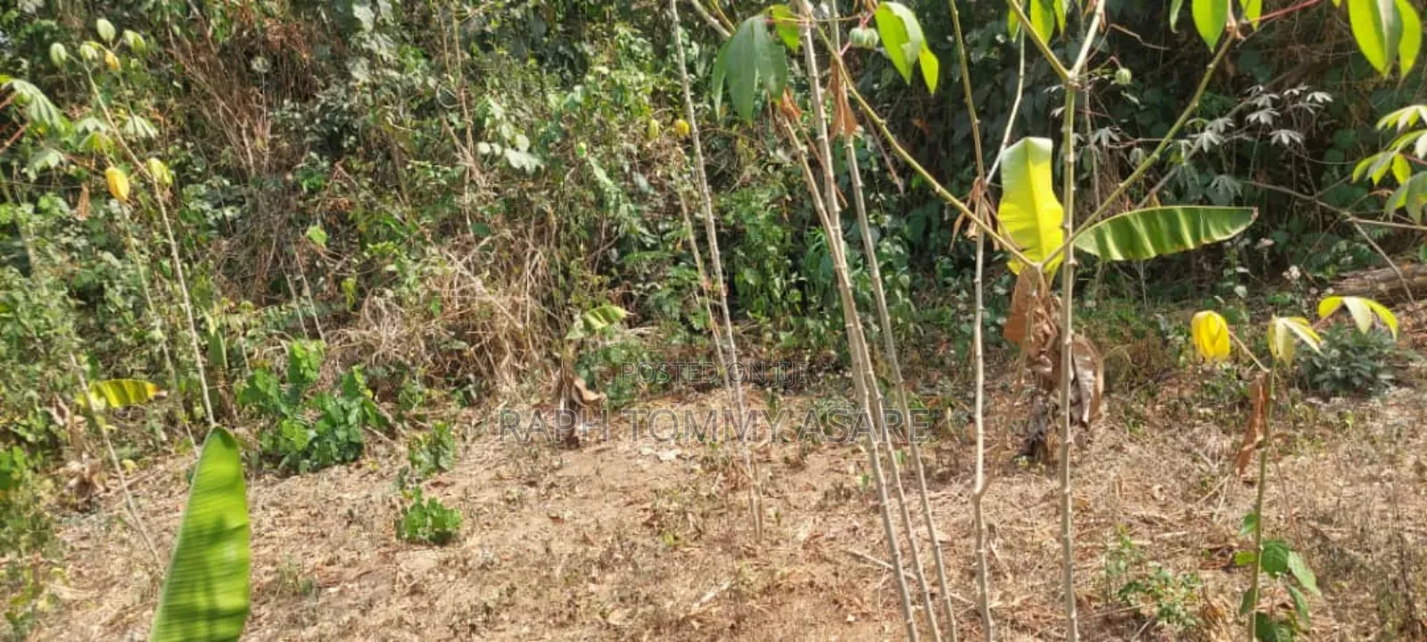 Kings Own Hands Land for Sale at Kwabere Kasaam