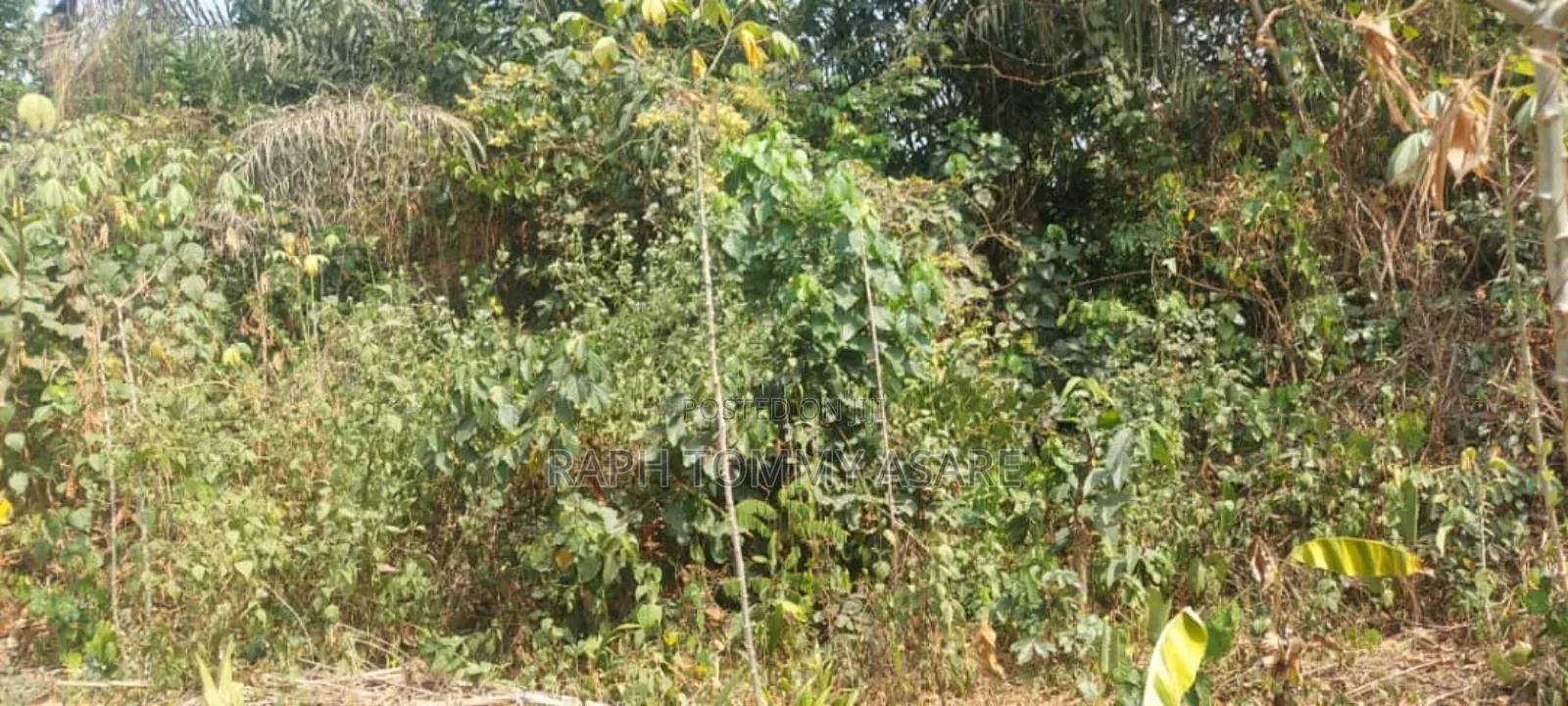 Kings Own Hands Land for Sale at Kwabere Kasaam