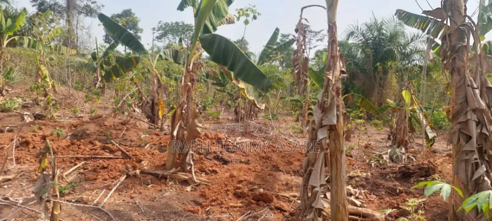 Kings Own Hands Land for Sale at Kwabere Kasaam