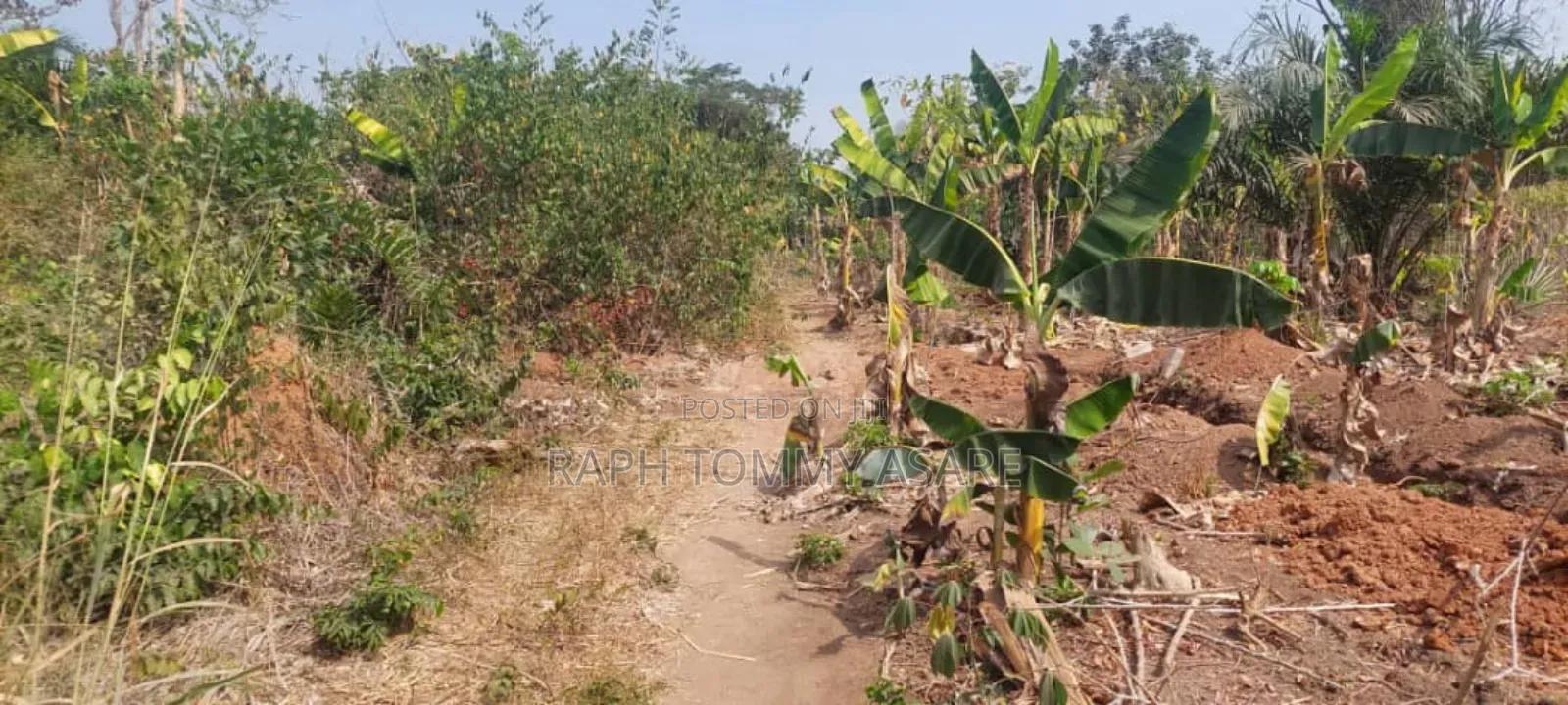 Kings Own Hands Land for Sale at Kwabere Kasaam