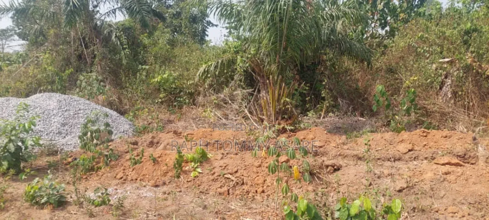 Kings Own Hands Land for Sale at Kwabere Kasaam