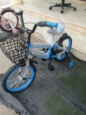 Bicycle Blue Penny