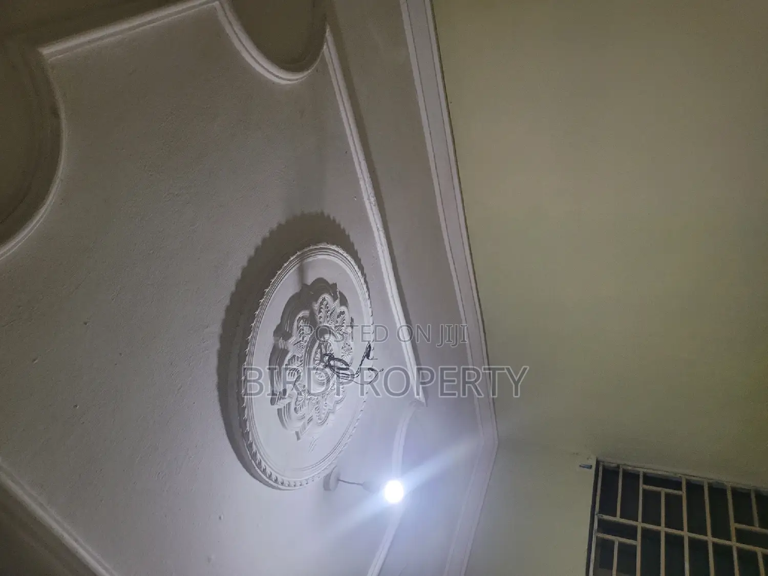 1bdrm House in Birdgroup, American House for rent