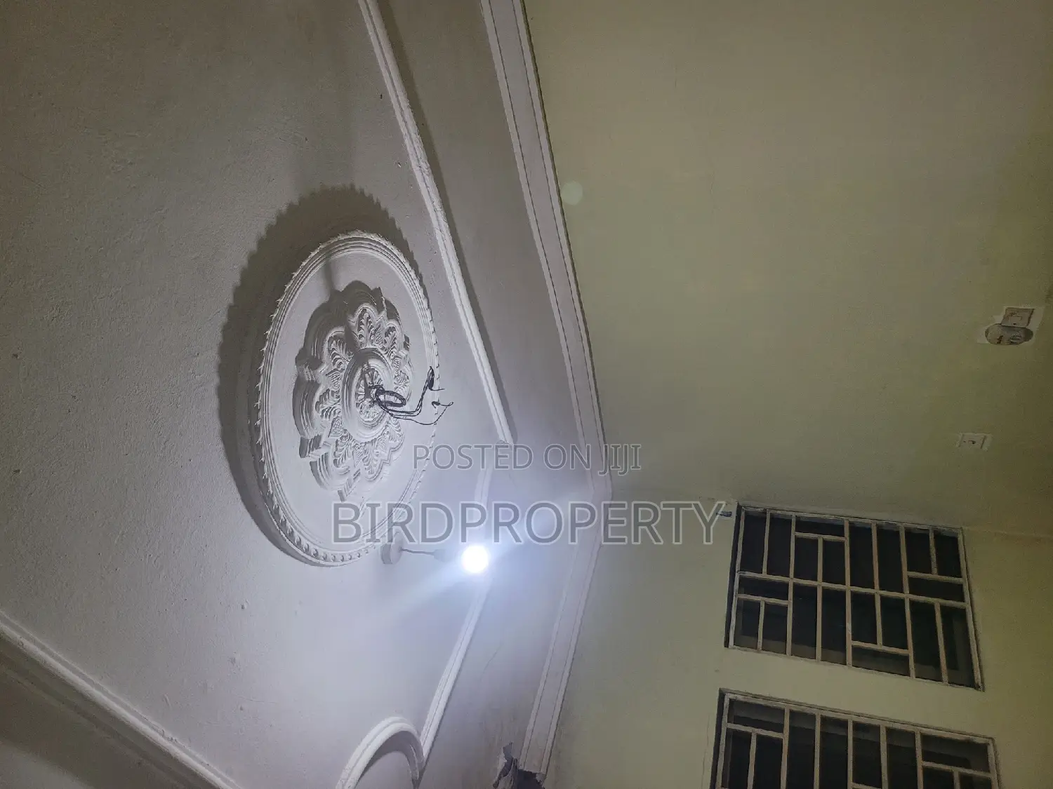 1bdrm House in Birdgroup, American House for rent