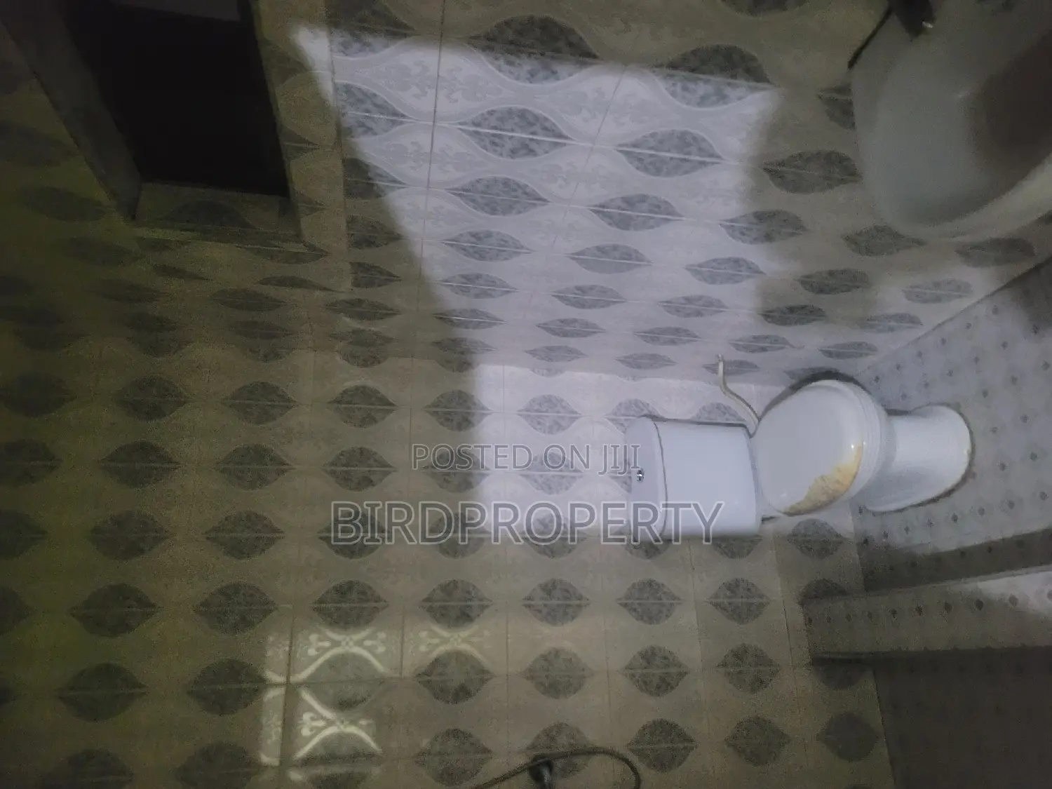 1bdrm House in Birdgroup, American House for rent