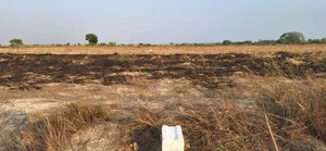Full Plots Certified + Free Packages at Prampram Beach Lane