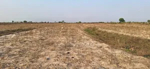 Full Plots Certified + Free Packages at Prampram Beach Lane