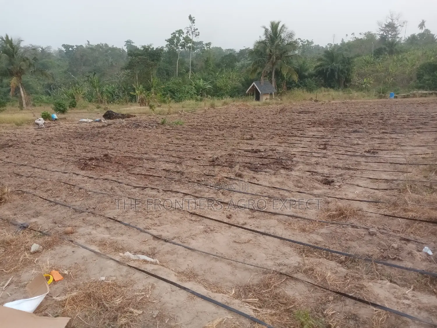 Irrigation Installation