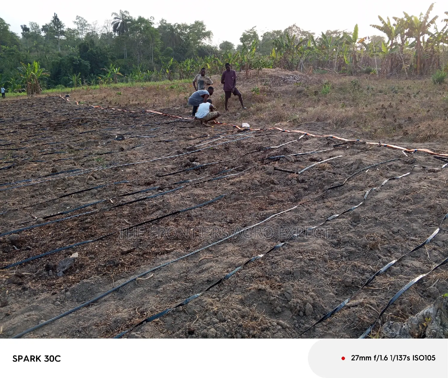 Irrigation Installation