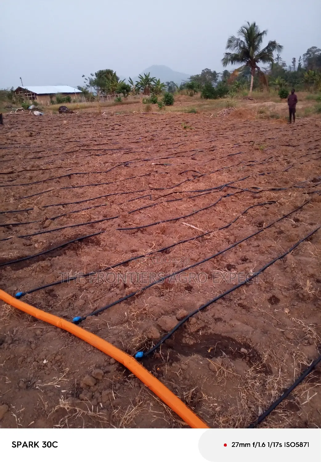 Irrigation Installation