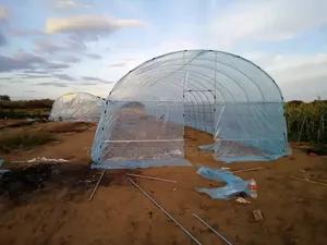 Imported Greenhouse Installation