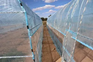 Imported Greenhouse Installation