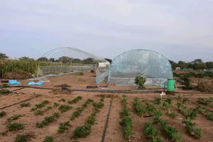 Imported Greenhouse Installation