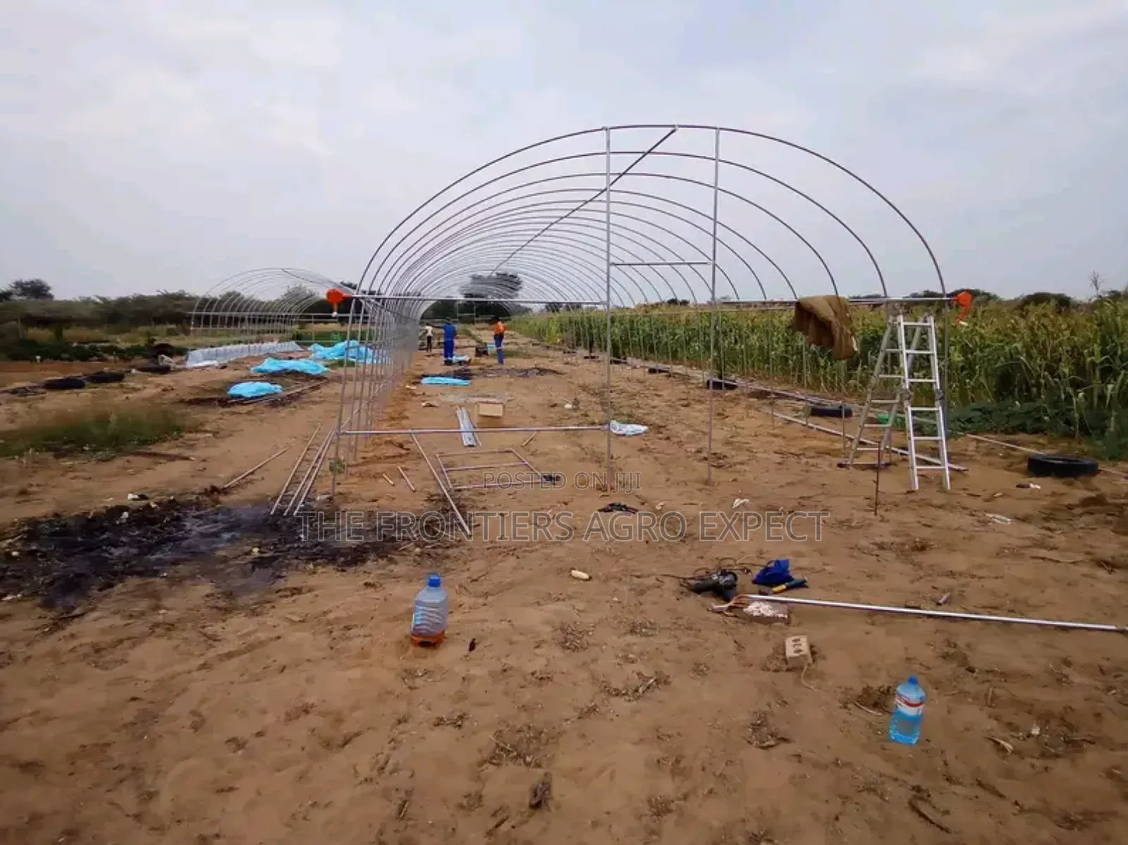 Imported Greenhouse Installation