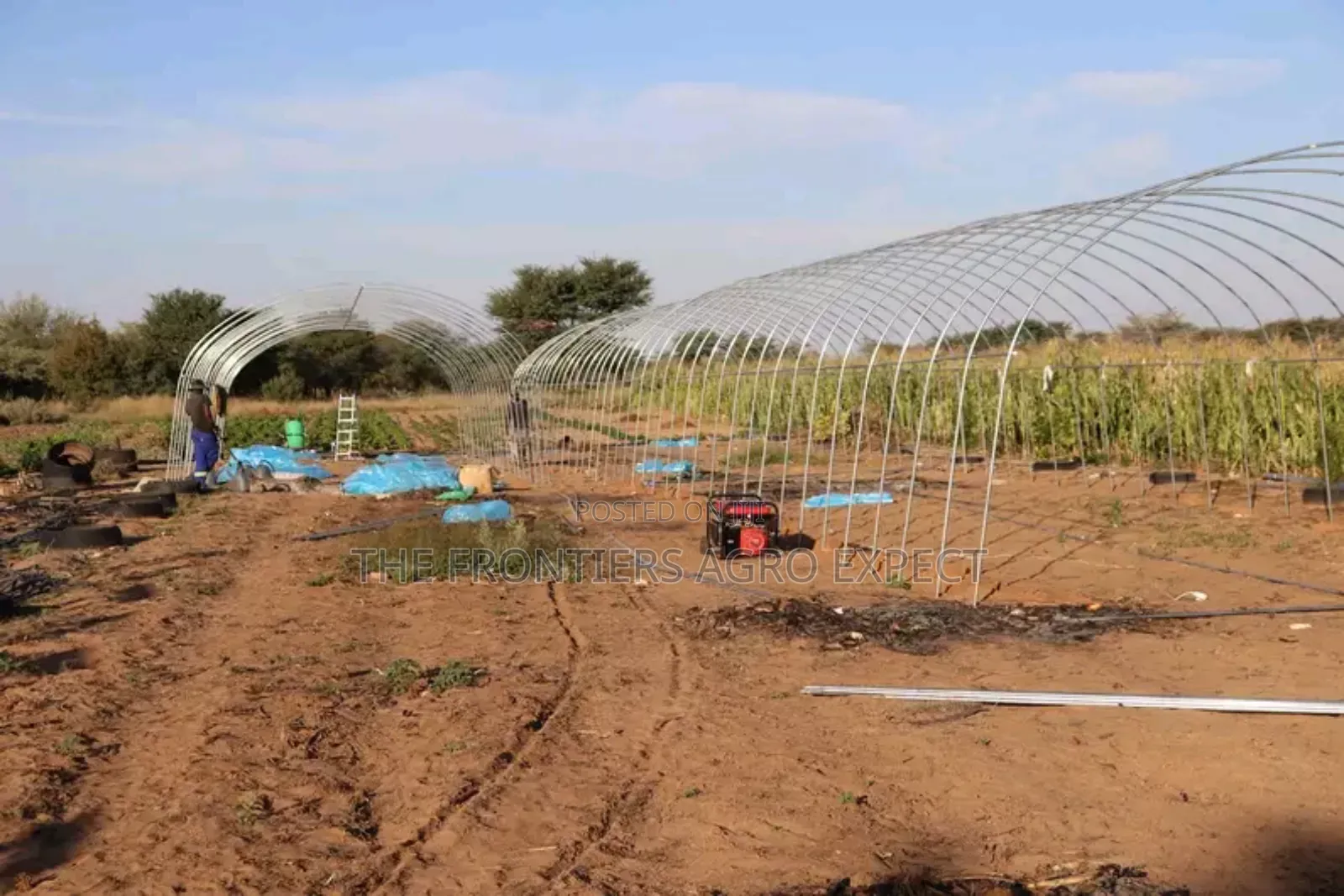 Imported Greenhouse Installation