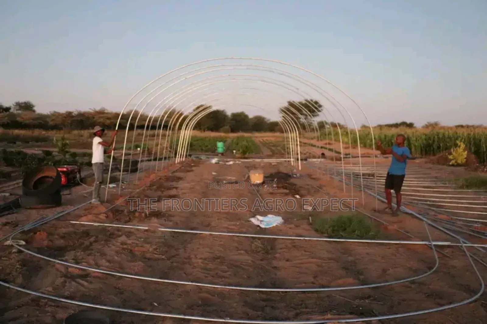 Imported Greenhouse Installation