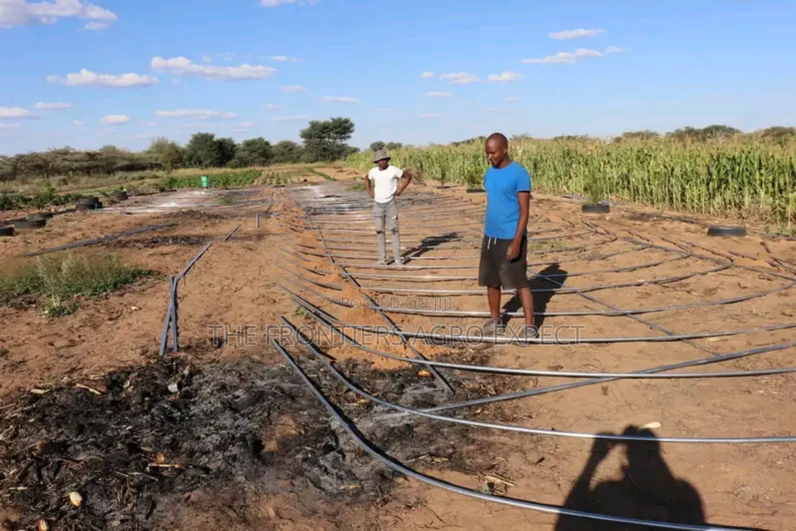 Imported Greenhouse Installation