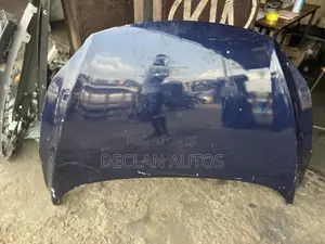 Hyundai Elantra 2012 Hood