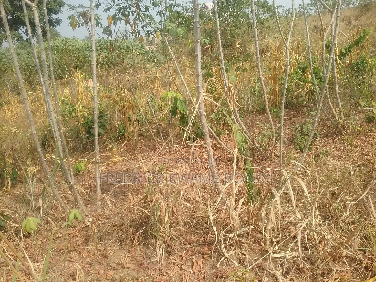 Plot of Land for Sale at Abuakwa Kokoben