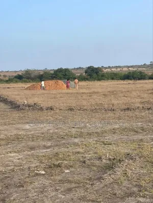 Neat Site to Build and Stay at a Cool Environment