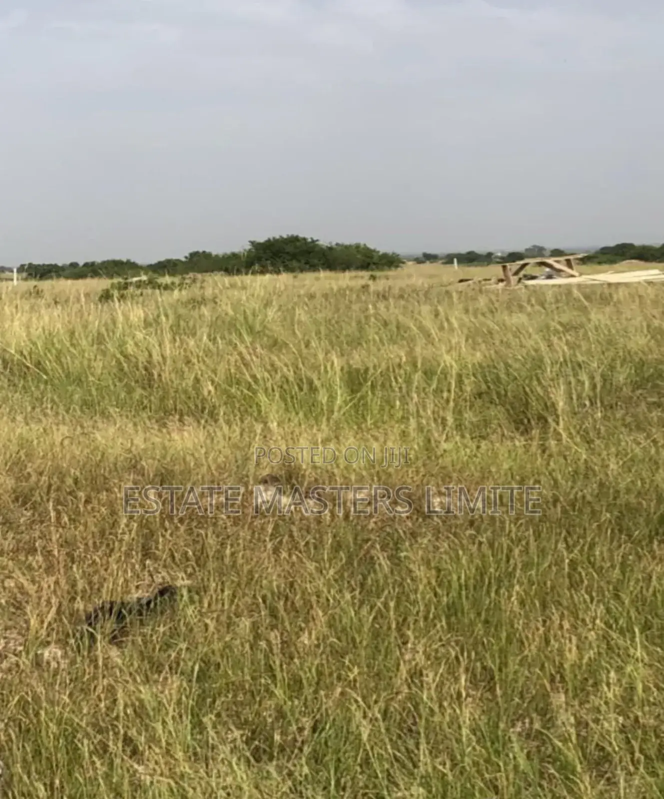 Building Future Through Real Estate, Buy Lands From Us Now