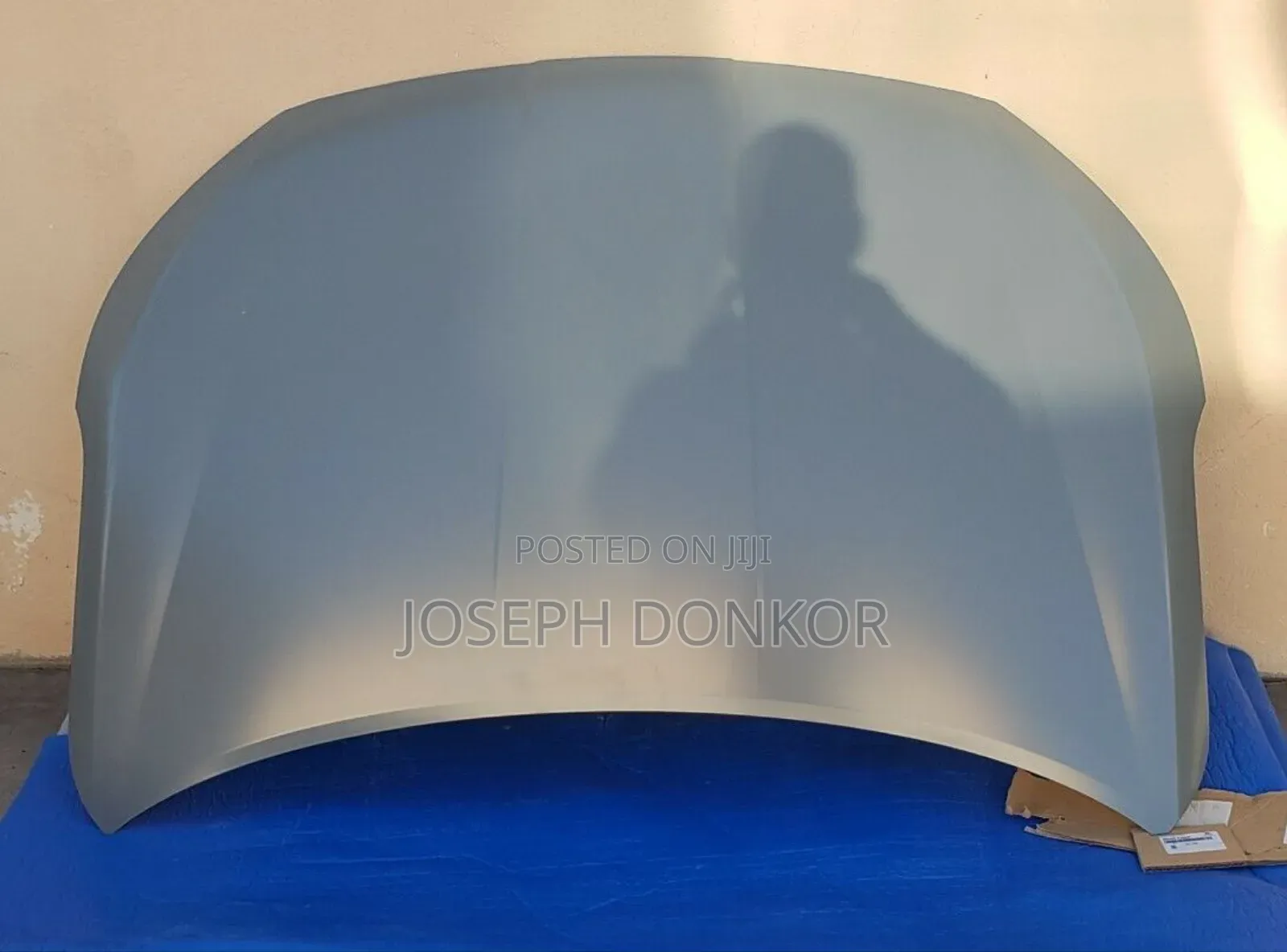 Elantra Bonnet 2019,2020