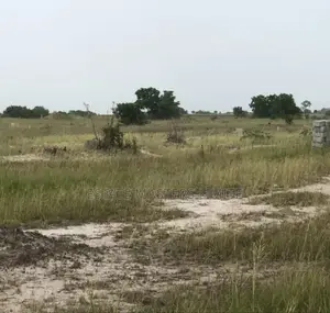 Connecting You With Your Perfect Property, a Land Now