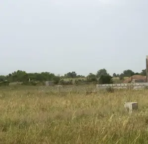 Real Estate Real Results Buy Land at Tsopoli No Litigation