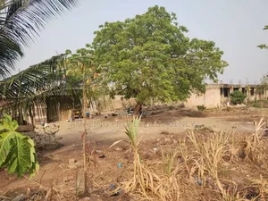 Land for Sale Tantra Hills