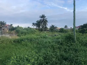 2 Plots of Land for Sake at Sakumon