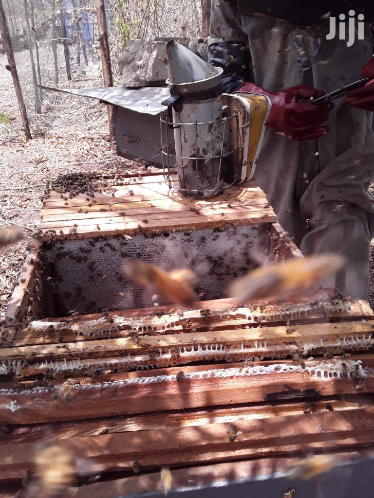Quality and 100% Pure Honey and Bee Wax From the Bee Keepers