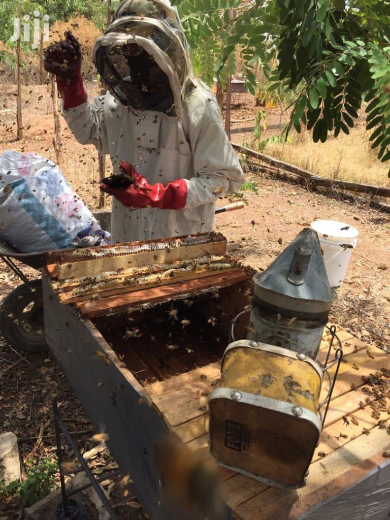 Quality and 100% Pure Honey and Bee Wax From the Bee Keepers
