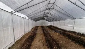 Commercial Greenhouse