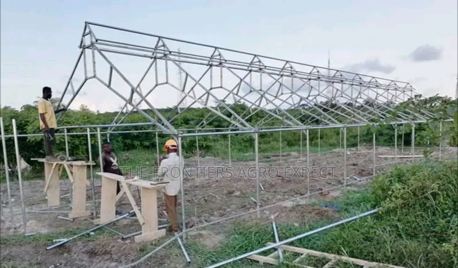 Commercial Greenhouse