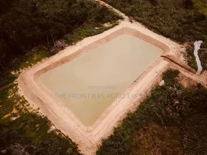Dam, Water Pan, Reservoir and Earthen Pond
