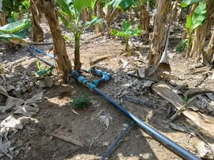 Solar and Irrigation Installation. + Free Solar CCTV Camera