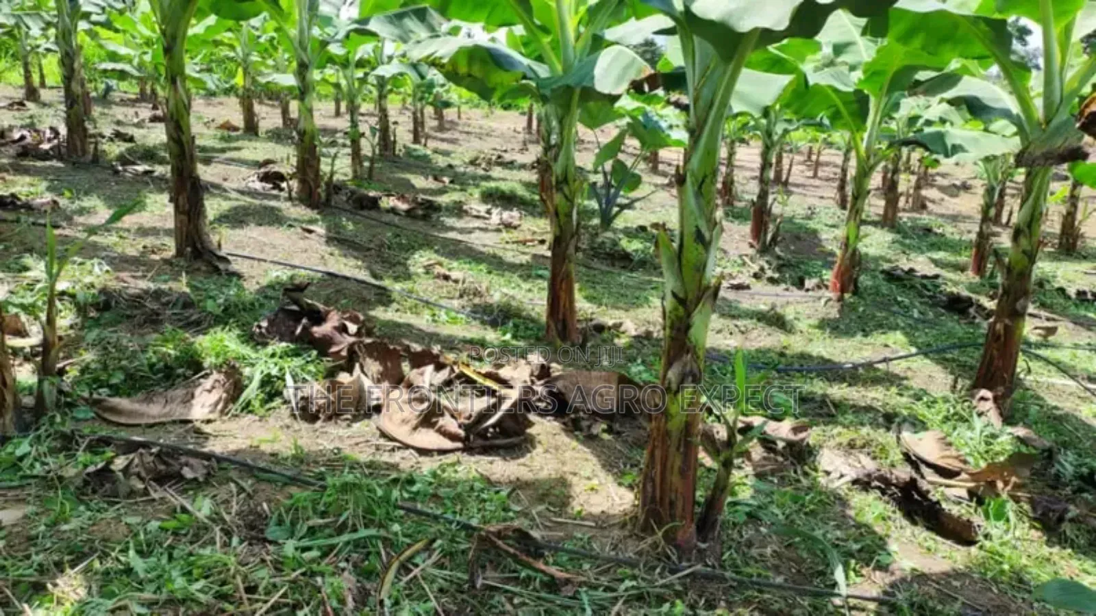 Solar and Irrigation Installation. + Free Solar CCTV Camera