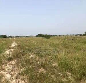 Your Trust Our Mission, Buy Our Lands at Ningo Prampram
