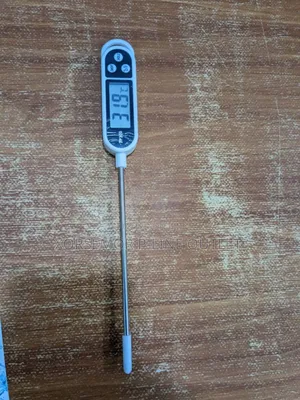 Digital Thermometer