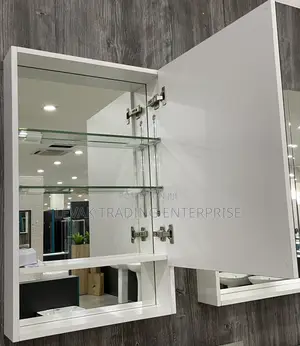 Cabinet Mirror _ Mirror With Shelves