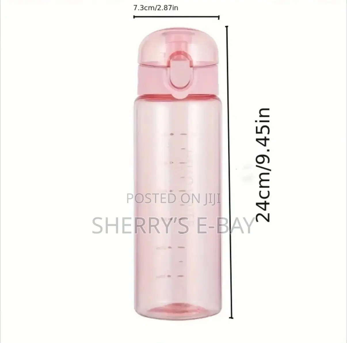 Water Bottle