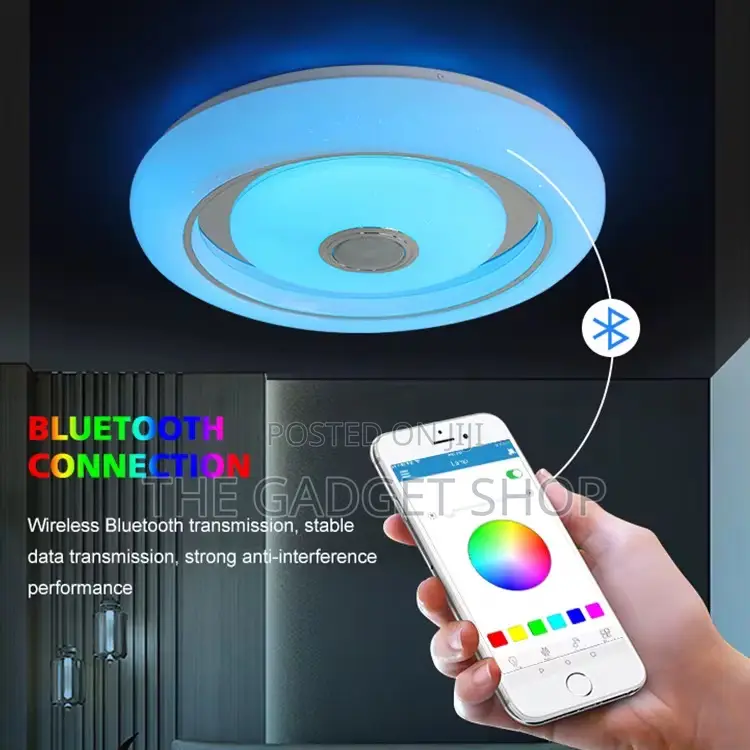 Ceiling Light With Speaker Remote/App Control
