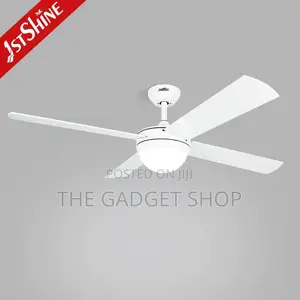 Ceiling Fan With Light