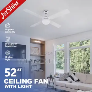 Ceiling Fan With Light