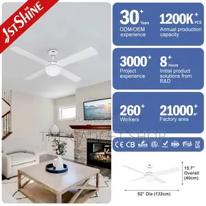 Ceiling Fan With Light