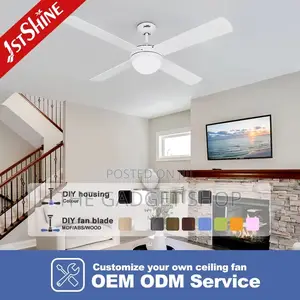 Ceiling Fan With Light